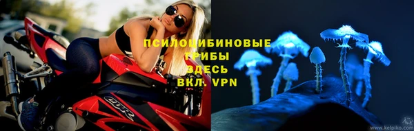 a pvp Арсеньев