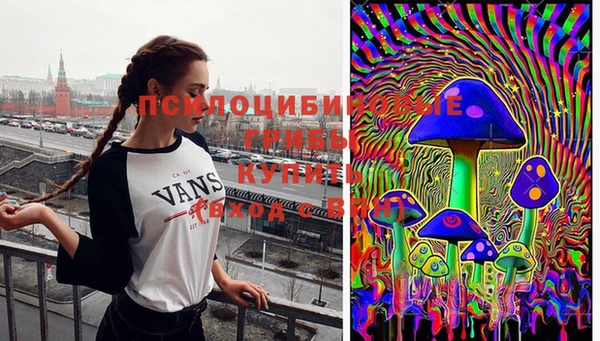 ешки Алзамай